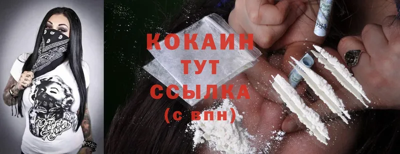 Cocaine Fish Scale  Вытегра 